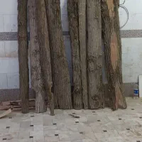 نما چوب پوست چوب طبیعی