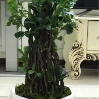 درختچه مصنوعی بونسا