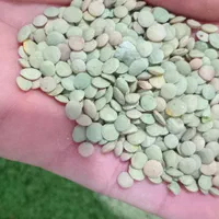 عدس مرجی|خوردنی و آشامیدنی|رشت, حافظ آباد|دیوار