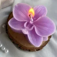 انواع شمع  بابونه ارکیده گیفت عروس و کودک|صنایع دستی و سایر لوازم تزئینی|قم, امامزاده ابراهیم|دیوار