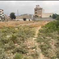 زمین مسکونی ،۱۱۲۷متر،سرخنکلاته|فروش زمین و ملک کلنگی|سرخنکلاته, |دیوار