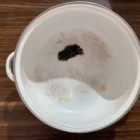 قابلمه لعابی|ظروف پختوپز|مشهد, مقدم|دیوار