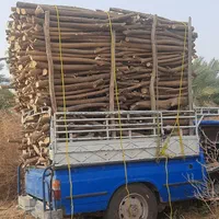 خریدارچوب وبریدن درخت