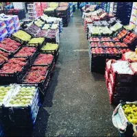 تهیه انواع میوه و صیفی  از تهران