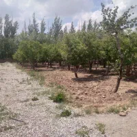 ۳۰۰مترباغچه دردماوندجابان سندتک برگ|فروش زمین و ملک کلنگی|تهران, افسریه شمالی|دیوار