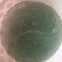 پاکسازی شپش و رشک|آرایشی، بهداشتی، درمانی|زرگرشهر, |دیوار