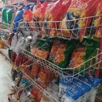 واگذاری سوپر مارکت فوری|فروشگاه و مغازه|اقبالیه, |دیوار