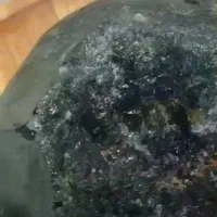 سنگ یشم معدنی|کلکسیون اشیاء عتیقه|ساری, |دیوار