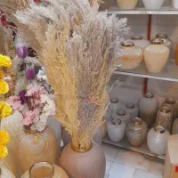 گل پامپاست گلدانی اک