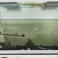 اکواریوم سالم بدون ترک