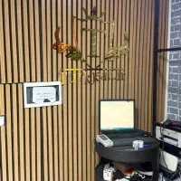 استخدام فروشنده بوتیک زنانه