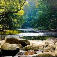 آموزشگاه تخصصی نقاشی، طراحی نگاره نیلی، کیش، صدف