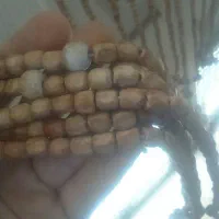 پرده|پرده، رانر، رومیزی|عقدا, |دیوار