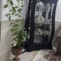 ویترین درحدسالم