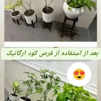 قرص مکمل کود و محرک رشد گیاه