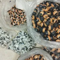 چشم عروسک خواب بیدار توافقی