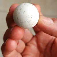 الماس آسیاب اصل سختی ۱۰ چگالی ۳.۵۲|جواهرات|شهرکرد, |دیوار