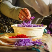 استخدام مراقب سالمند