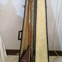 سه تار|سازهای سنتی|اصفهان, پروین|دیوار