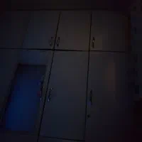 روروئک