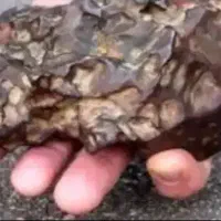 کارشناسی سنگ