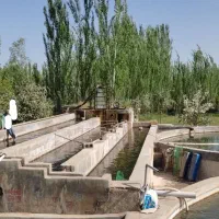 پرورش ماهی|فروش دفتر صنعتی، کشاورزی، تجاری|بکتاش, |دیوار