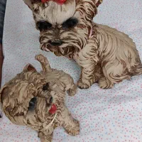 دوعدد مجسمه دکوری بسیار زیبا|مجسمه، تندیس، ماکت|رشت, منظریه|دیوار