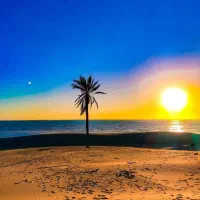 اجاره ویلایی