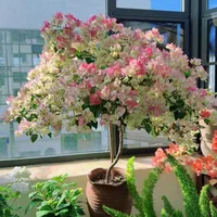 سیب سبز گلابی استوایی دراگون جکفروت|خدمات باغبانی و درختکاری|رشت, آزادگان|دیوار