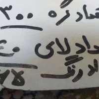 دار و نخ و نقشه فرش|لوازم خیاطی و بافتنی|تهران, نعمت‌آباد|دیوار