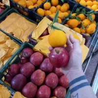 سیب و پرتقال درجه یک بارتازه فقط با سبد|عمده‌فروشی|تالش, هشتپر|دیوار