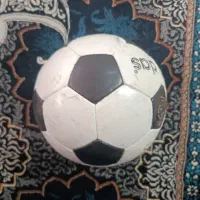 توپ چمنی درحد نو