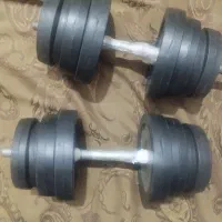 دمبل صفحه ای