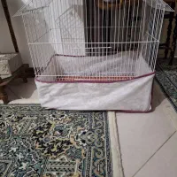 قفس پرنده|لوازم جانبی حیوانات|فردیس, شهرک شهید حسینی|دیوار