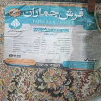 فرش700شانه|فرش|شیبکوه (هرمزگان), |دیوار