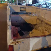 پیکان وانت مدل87دوگانه کارخانه تازه تعمیر|خودرو سواری و وانت|بیرجند, |دیوار