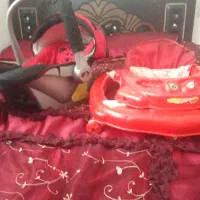 کریر ، روروئک