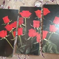 ساعت ایستاده زیبا باقاب عکس|ساعت دیواری و تزئینی|چناران, |دیوار