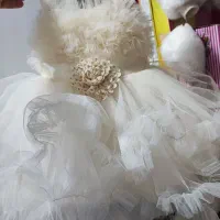 لباس کودک|کفش و لباس بچه|فردیس, فردیس|دیوار