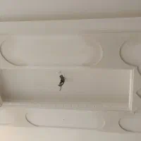 گچ کاری وگچ بری پیشرفته