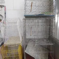 قفس 5 عدد 1 تومن