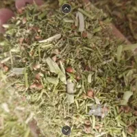 کاه خارشتر (ذاشثین حبر بدین)