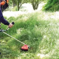 علف زنی با چمن زن|خدمات باغبانی و درختکاری|لنگرود, |دیوار