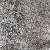 یونجه درجه ۱|عمدهفروشی|دوتپه, |دیوار