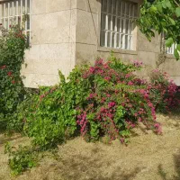 فروش باغ ویلا
