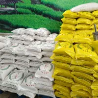 انواع برنج ایرانی