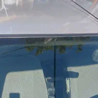 پژو مدل ۸۷|خودرو سواری و وانت|ارومیه, |دیوار