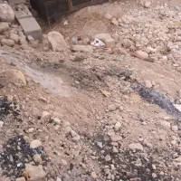 قفس توری مرغ|لوازم جانبی حیوانات|کوه چنار, |دیوار