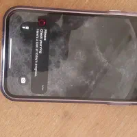 اپل iPhone 13 با حافظهٔ ۱۲۸ گیگابایت|موبایل|خواف, |دیوار