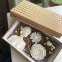 گلهای شمعی جاویدان